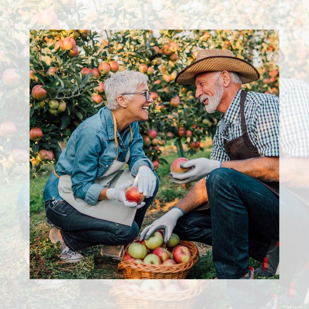 living-trusts-estate-planning-lawyer-estate-planning-basics-guardianship-for-children