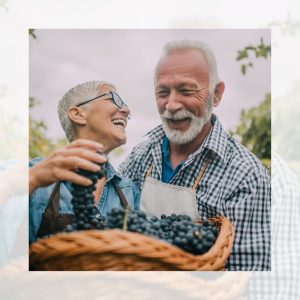 Family Law Lawyers near me: Harmony Legal Group