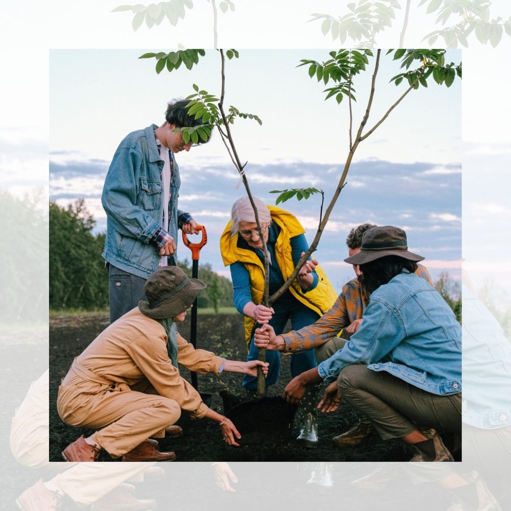 will-vs-trust-estate-planning-strategy-trust-fund-estates-family-trusts-special-needs-trust